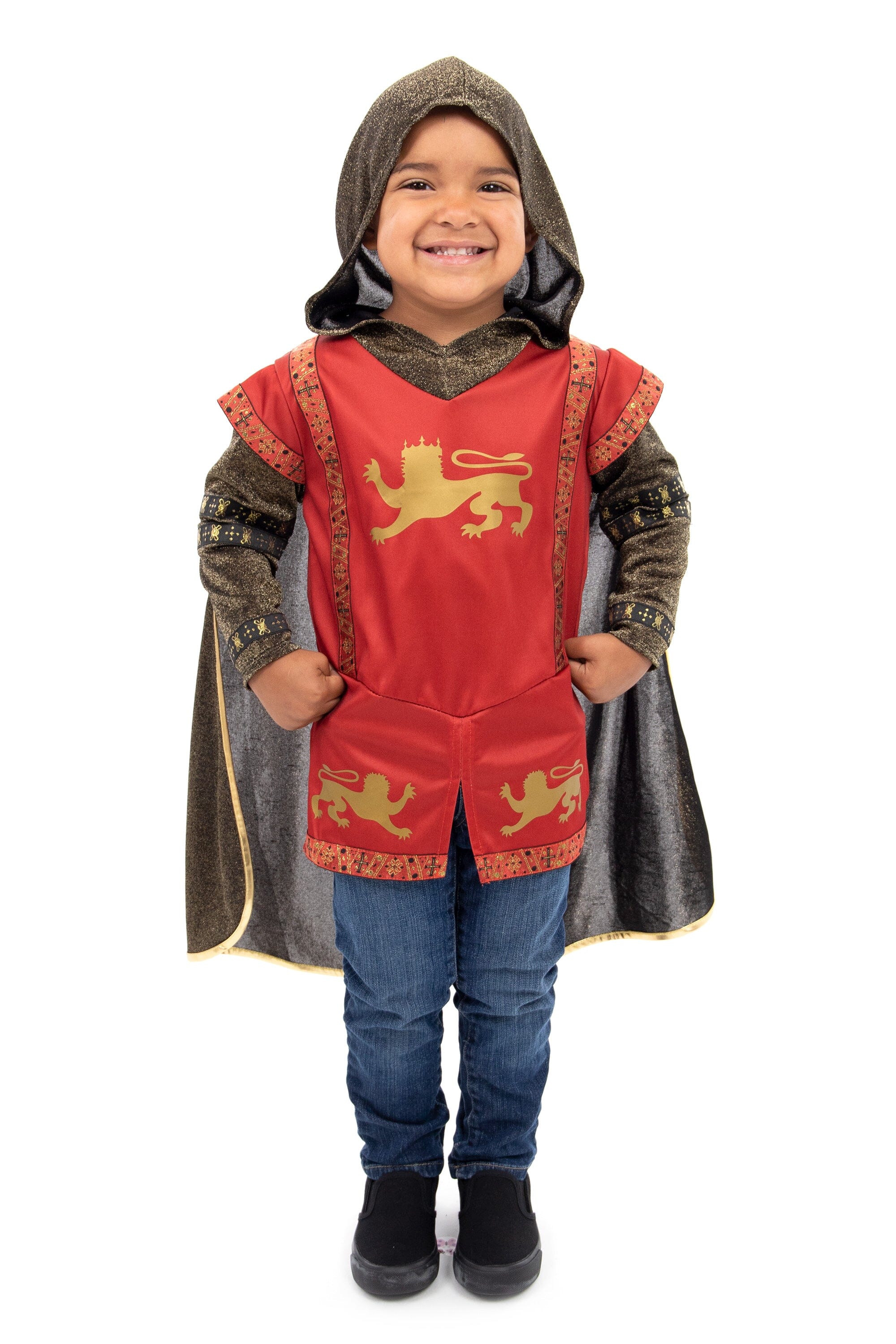 Red Lion Knight