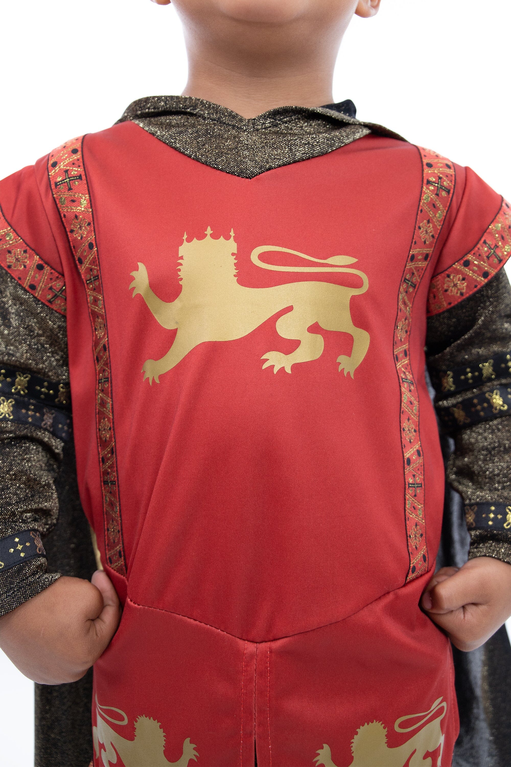 Red Lion Knight - Image 2