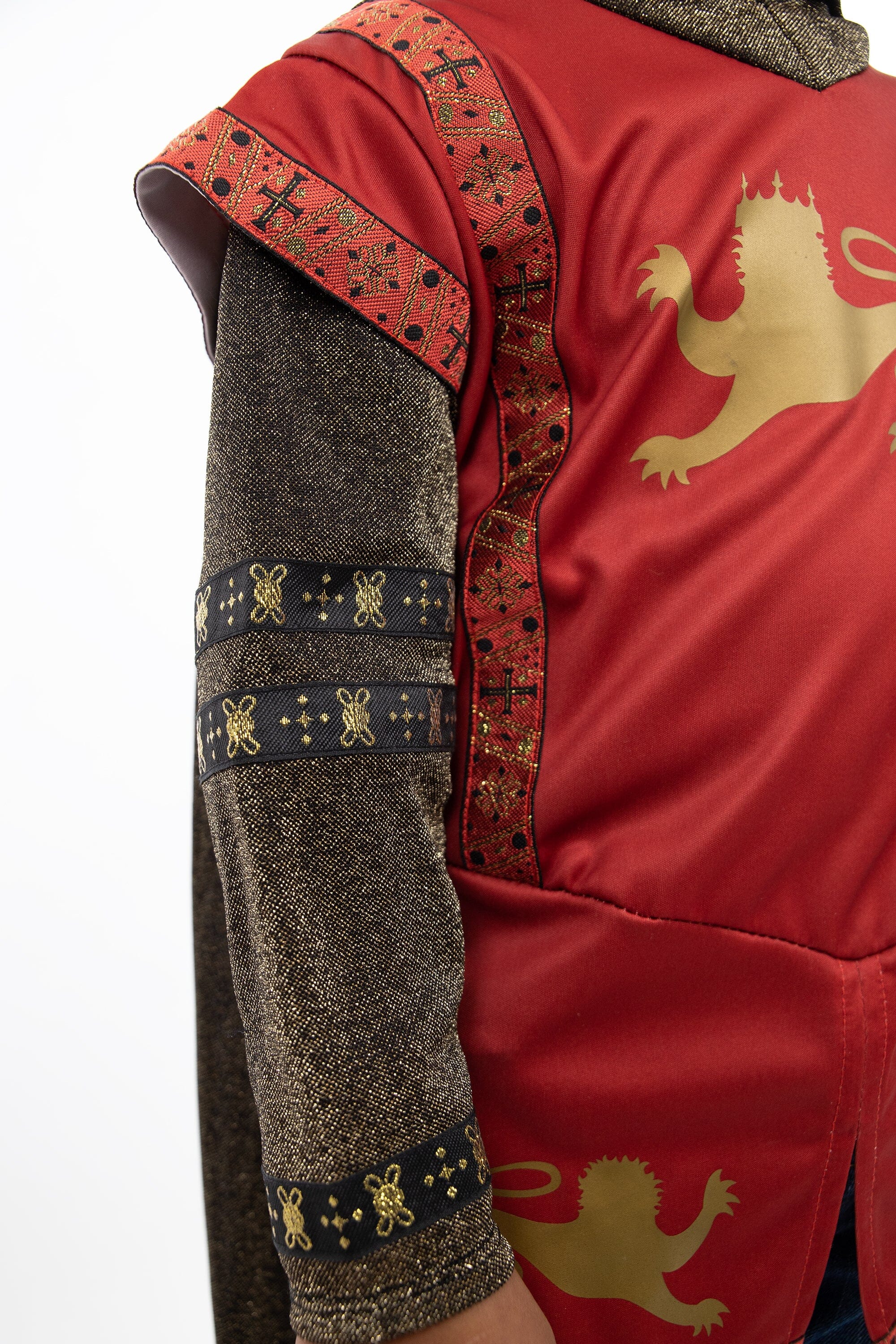 Red Lion Knight - Image 3