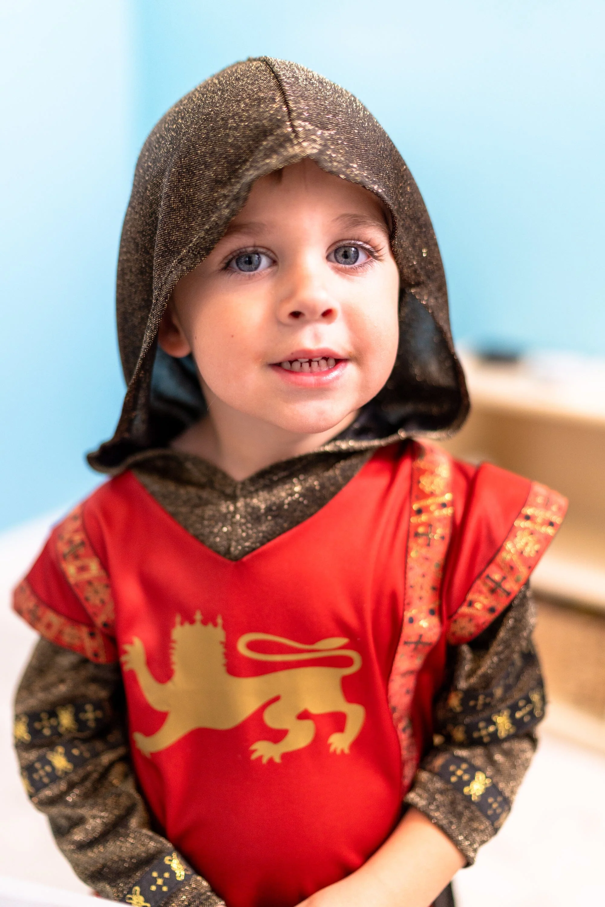 Red Lion Knight - Image 7
