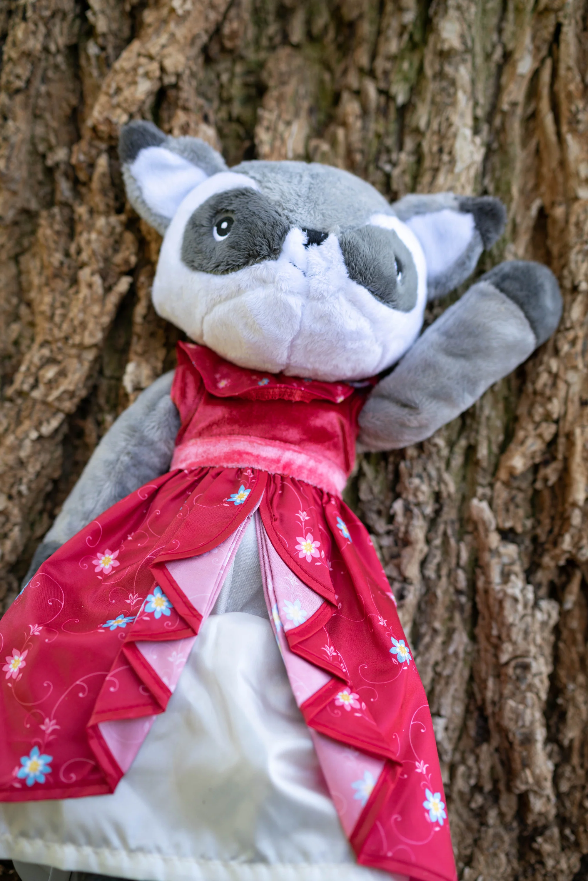 Adventure Pal - Remy Raccoon - Image 6