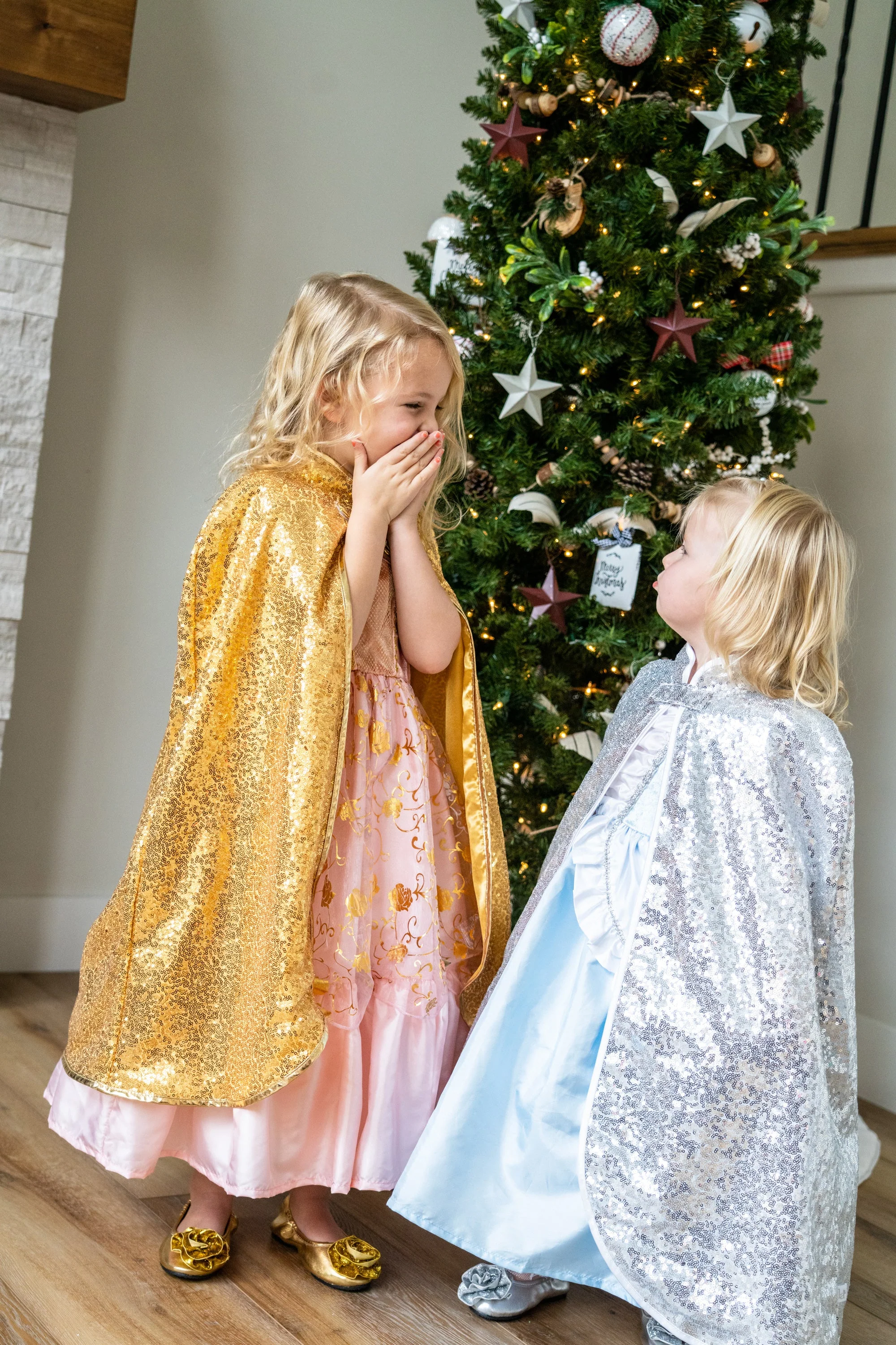 Silver Shimmer Cloak - Image 5