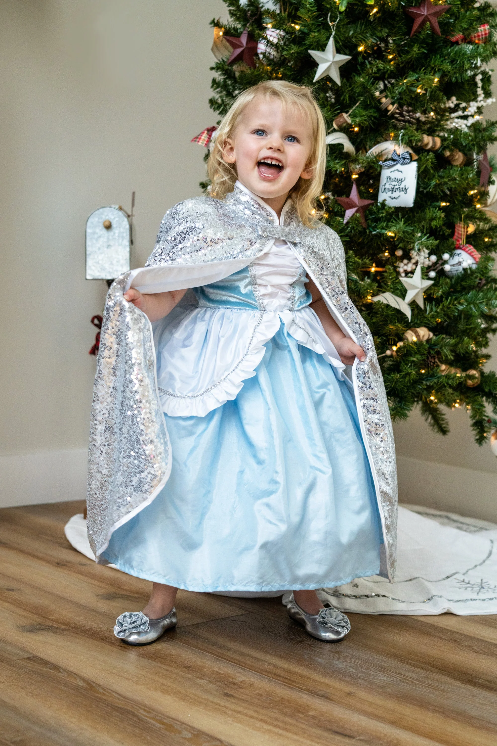 Silver Shimmer Cloak - Image 6