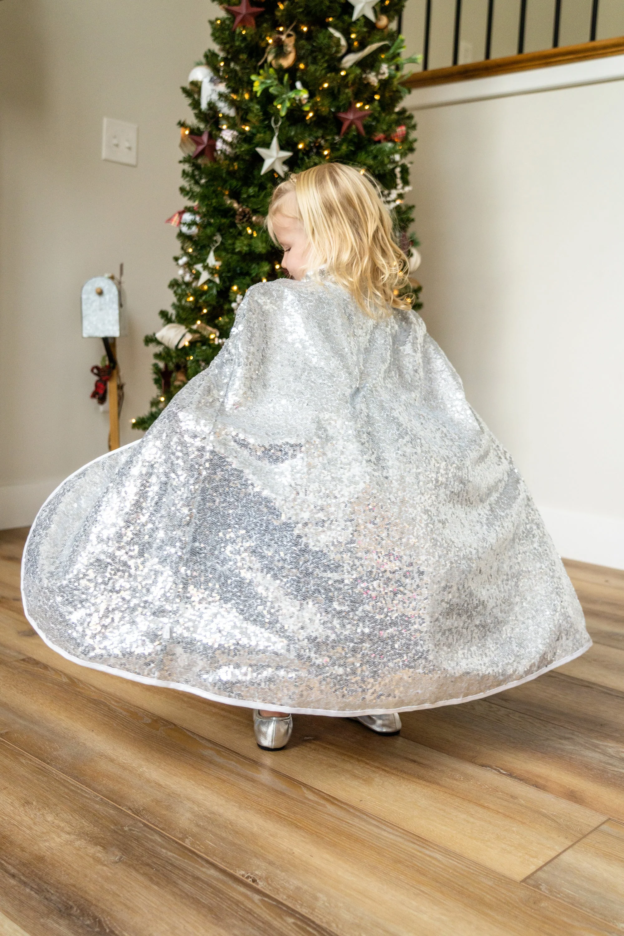 Silver Shimmer Cloak - Image 8