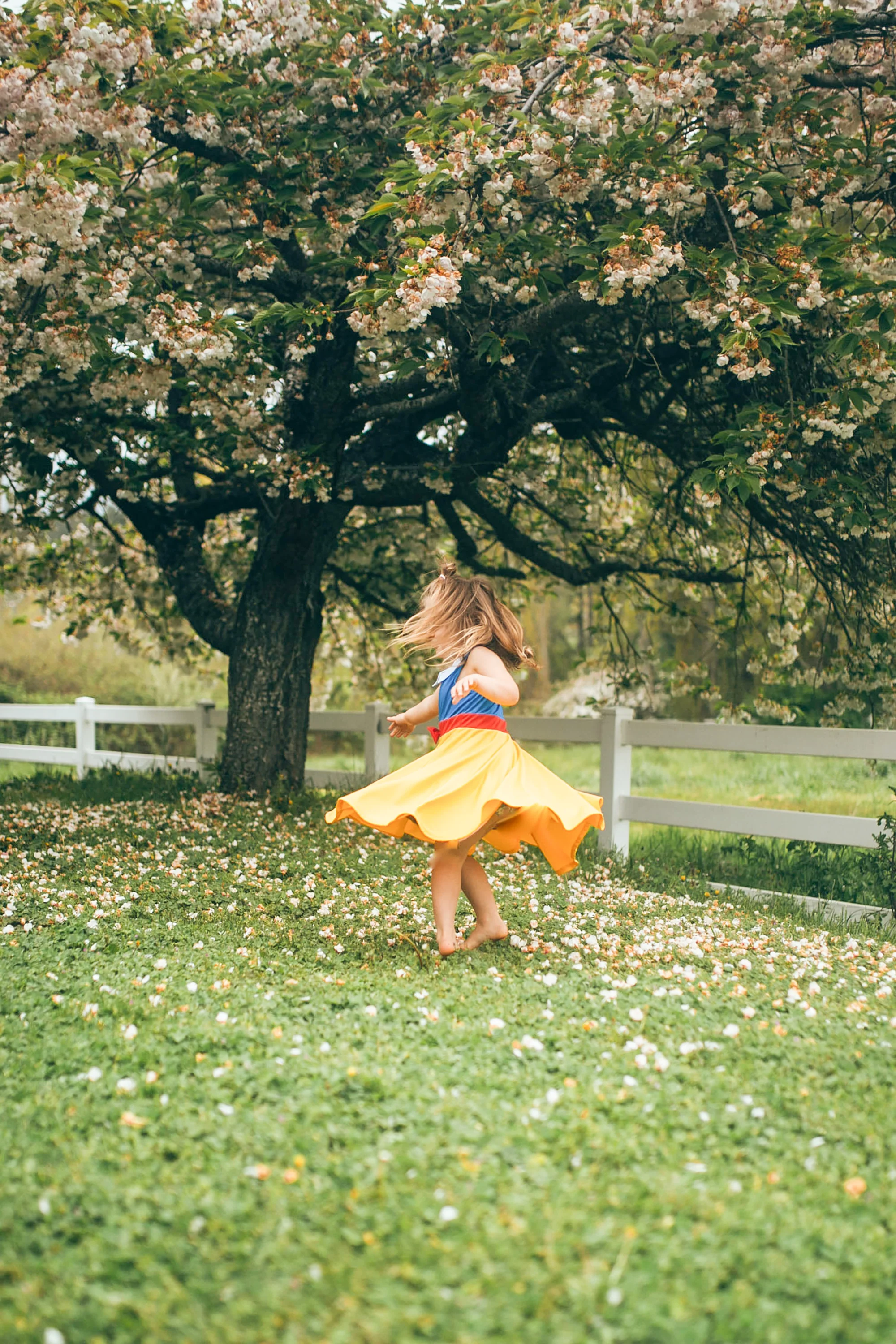 Snow White Twirl Dress - Image 8