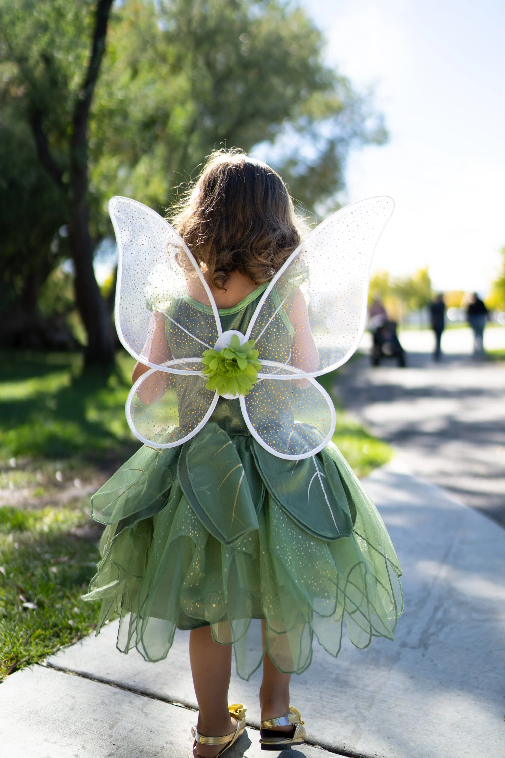 Pixie Tinkerbell Wings - Image 4